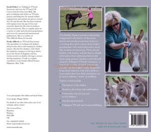 The Healthy Donkey The Healthy Donkey