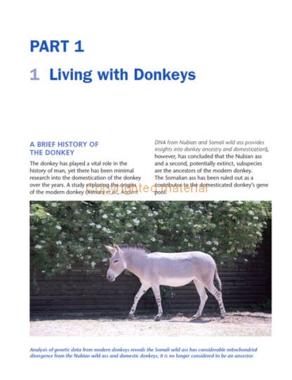 The Healthy Donkey