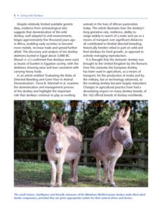 The Healthy Donkey The Healthy Donkey