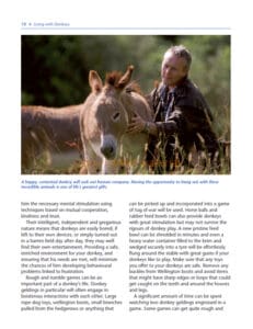 The Healthy Donkey The Healthy Donkey