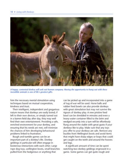 The Healthy Donkey