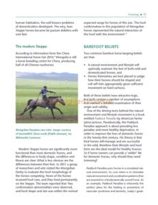Barefoot Horse Keeping Barefoot Horse Keeping