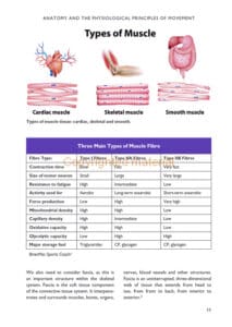 The Science of Stretching The Science of Stretching