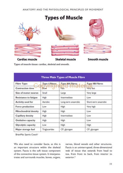 The Science of Stretching