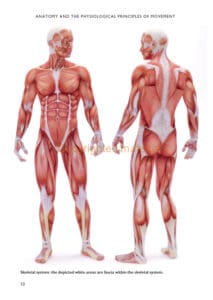 The Science of Stretching The Science of Stretching