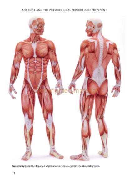 The Science of Stretching