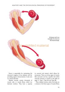 The Science of Stretching The Science of Stretching