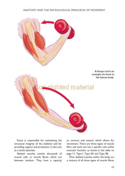 The Science of Stretching