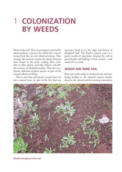 The Value of Weeds