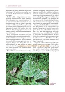 The Value of Weeds The Value of Weeds