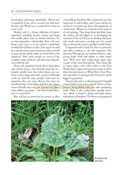 The Value of Weeds