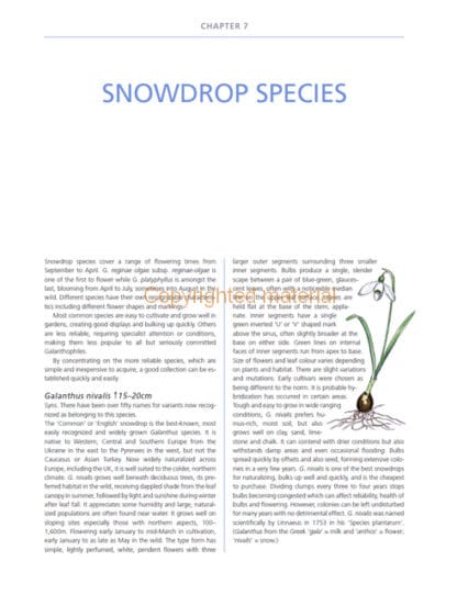 A Gardener’s Guide to Snowdrops