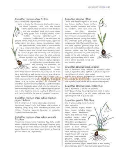 A Gardener’s Guide to Snowdrops