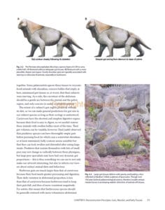 The Palaeoartist’s Handbook The Palaeoartist’s Handbook