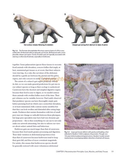 The Palaeoartist’s Handbook