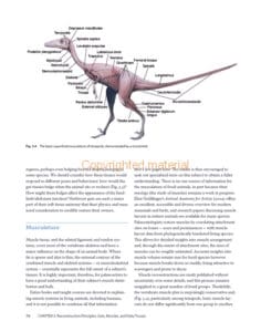 The Palaeoartist’s Handbook The Palaeoartist’s Handbook