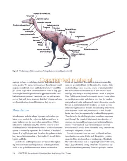 The Palaeoartist’s Handbook