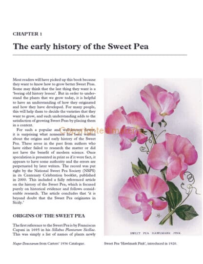 Sweet Peas