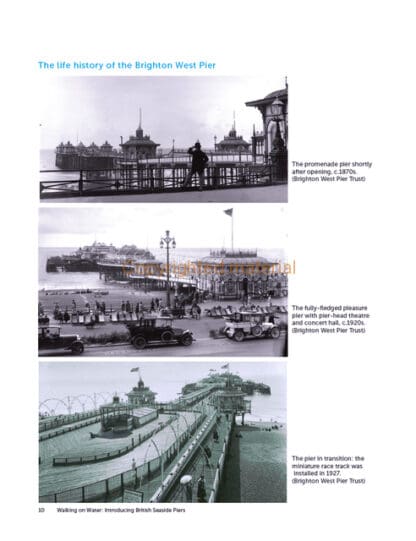 The Architecture of British Seaside Piers