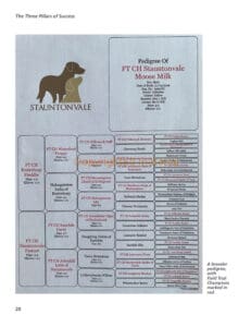 Advanced Retriever Training Advanced Retriever Training