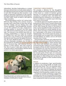Advanced Retriever Training Advanced Retriever Training
