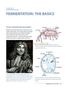 Fermented Foods Fermented Foods