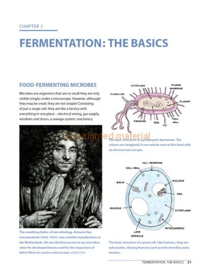 Fermented Foods