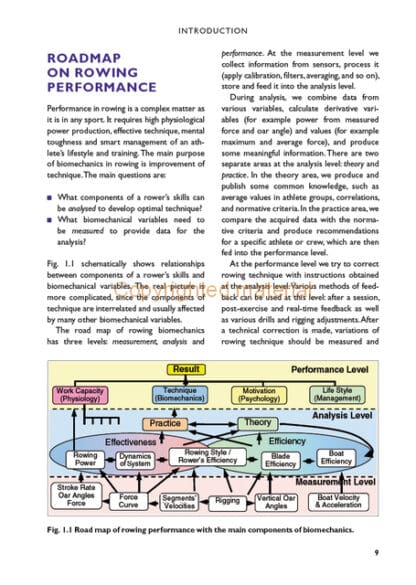 The Biomechanics of Rowing