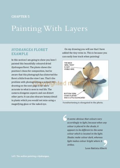 Watercolour Mixing Techniques for Botanical Artists