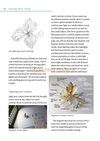 Watercolour Mixing Techniques for Botanical Artists