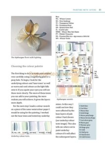 Watercolour Mixing Techniques for Botanical Artists Watercolour Mixing Techniques for Botanical Artists
