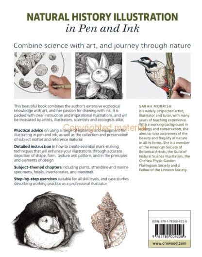 Natural History Illustration in Pen and Ink