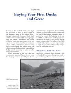 Keeping Ducks and Geese Keeping Ducks and Geese