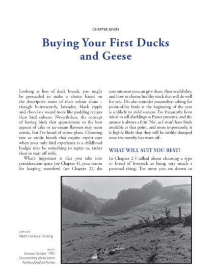 Keeping Ducks and Geese