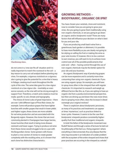 Wine Making