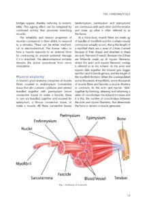 Strength and Conditioning for Dancers Strength and Conditioning for Dancers