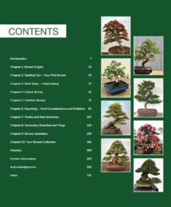 Practical Art of Bonsai Practical Art of Bonsai