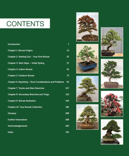 Practical Art of Bonsai
