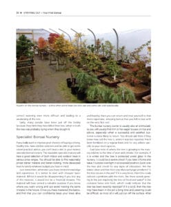 Practical Art of Bonsai Practical Art of Bonsai