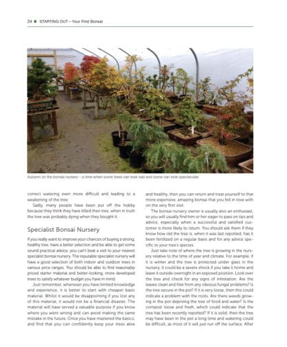Practical Art of Bonsai