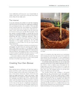 Practical Art of Bonsai Practical Art of Bonsai