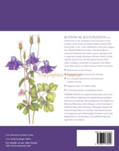 Botanical Illustration Botanical Illustration