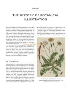 Botanical Illustration Botanical Illustration