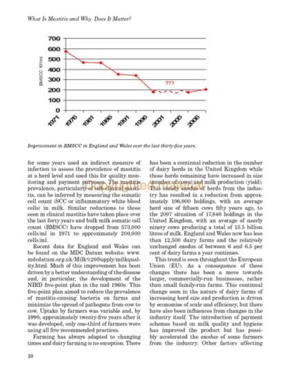 Mastitis In Cattle