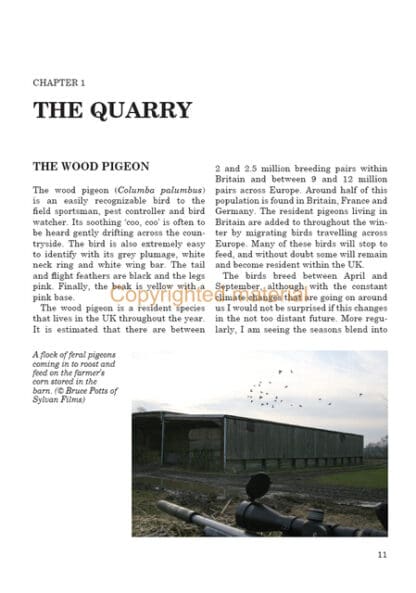 Pigeon Shooting