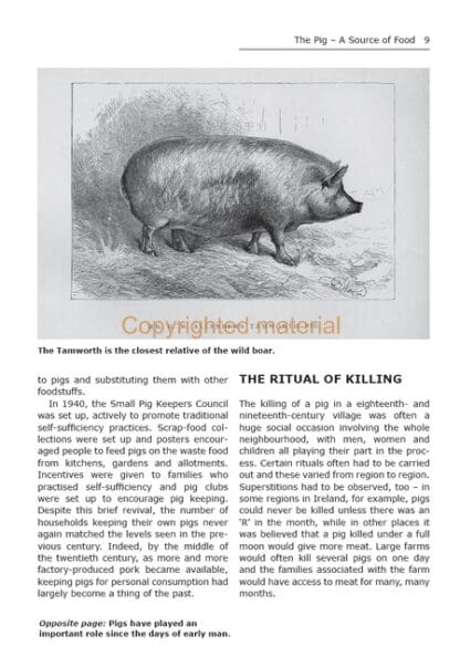 Pigs for the Freezer