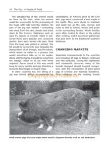 Pigs for the Freezer