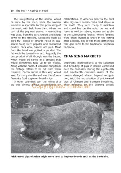 Pigs for the Freezer