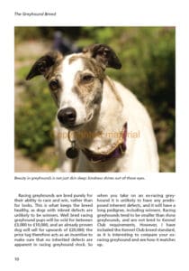 Retired Greyhounds Retired Greyhounds
