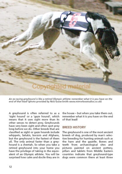 Retired Greyhounds